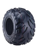 22X10.00-10  DI2003  2PR TL